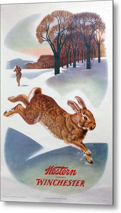 Winchester-Western Rabbit Hunting Metal Poster by Weimer Pursell