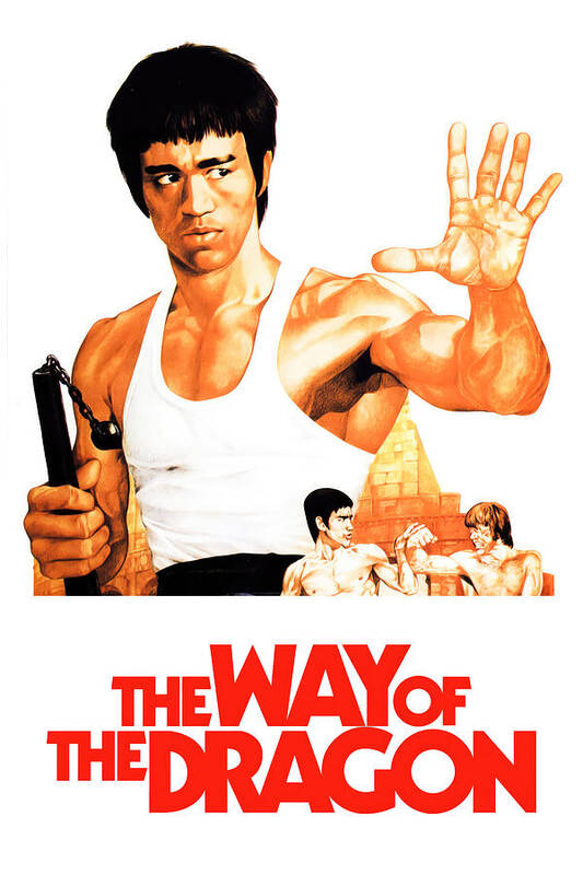 Bruce Lee in The Way of the Dragon Poster Movie Poster