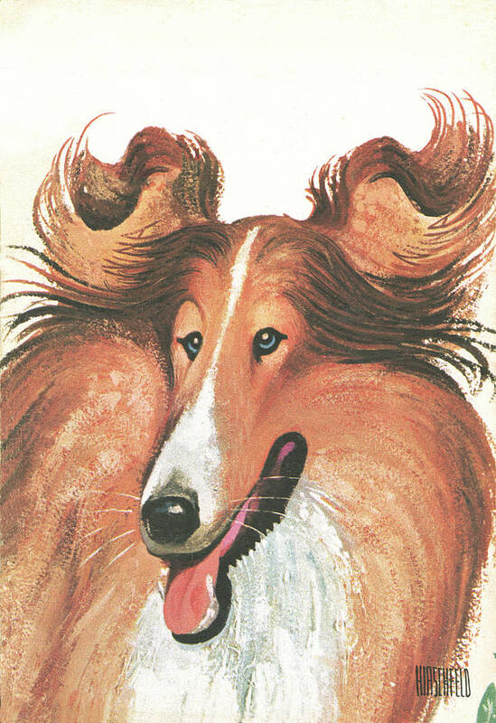Lassie Art Print
