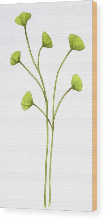 gemstone plant Multi-Gemstone Tree of Life with 360 Natural Gemstones main image 0
