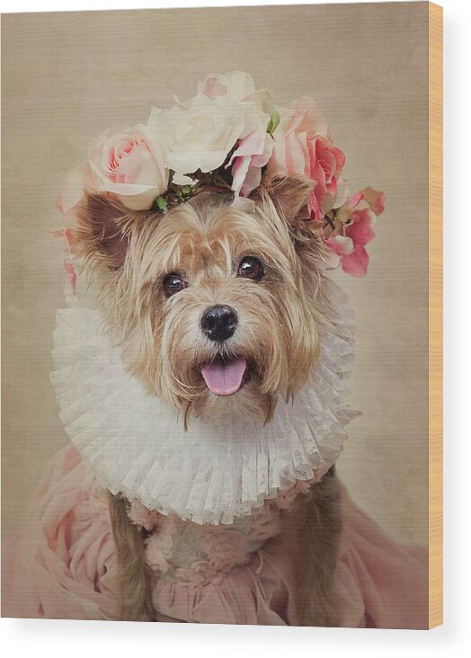 Floral Adorned Yorkshire Terrier Wood Print