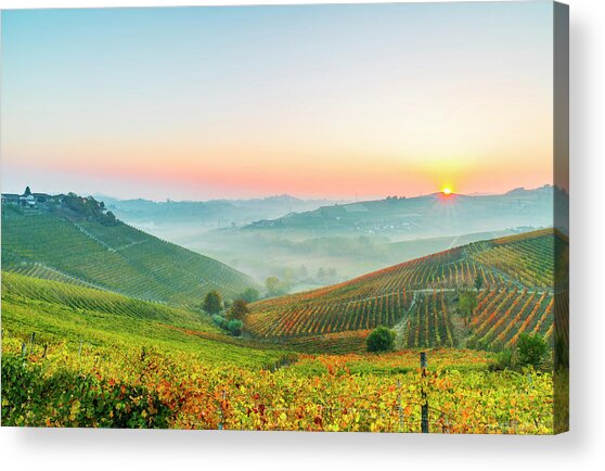 Piedmont, Barbaresco, Italy Acrylic Print