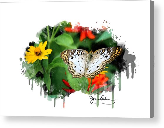White Peacock Butterfly Watercolor Acrylic Print