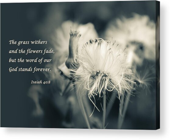 Flowers Fade Acrylic Print