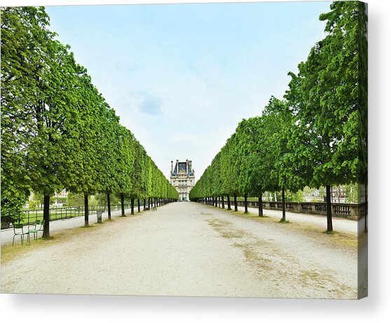 Symmetrical Tree-Lined Pathway Acrylic Print