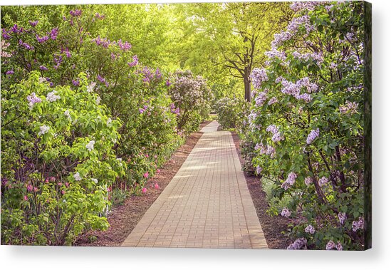 Lilacia Park Pathway Acrylic Print
