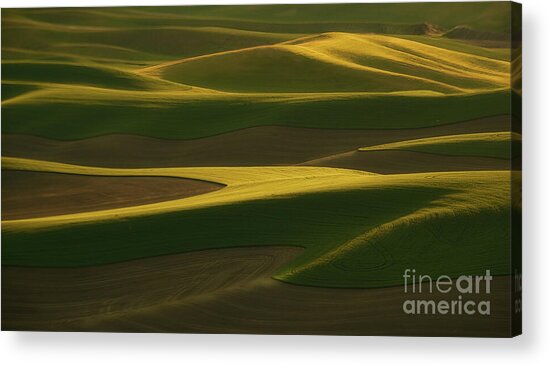 Rolling Hills at Sunset Acrylic Print