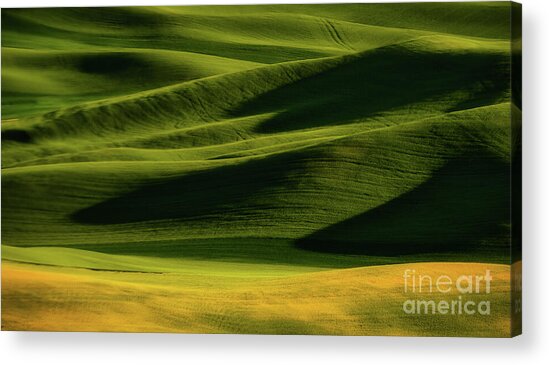 Rolling Green Hills at Sunset Acrylic Print