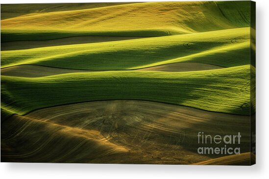 Rolling Hills in Evening Light Acrylic Print
