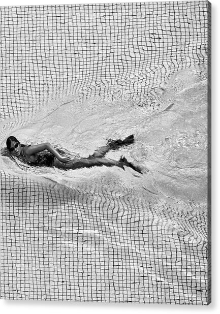 Solitary Swimmer in Motion Acrylic Print