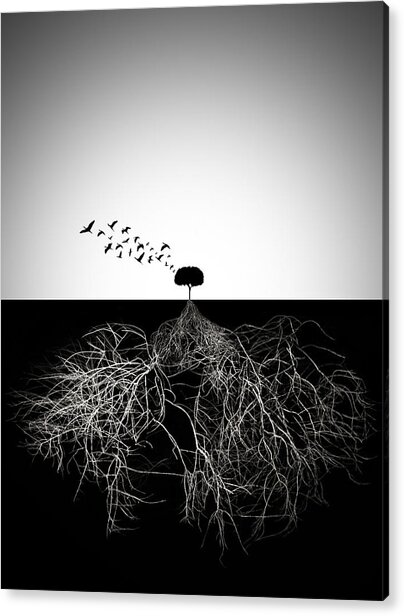 Tree with Expansive Roots and Birds Acrylic Print