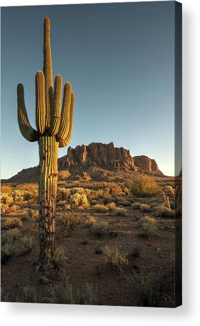 Majestic Desert Landscape at Sunrise Acrylic Print