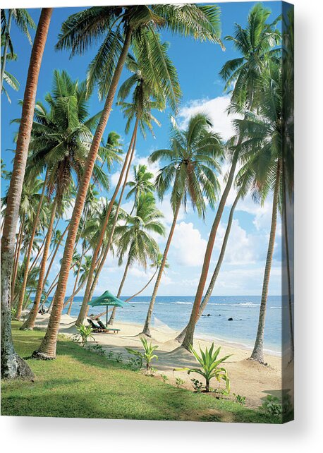 Tropical Beach Paradise Acrylic Print