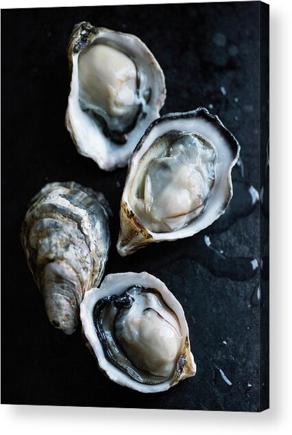 Fresh Oysters on Dark Backdrop Acrylic Print