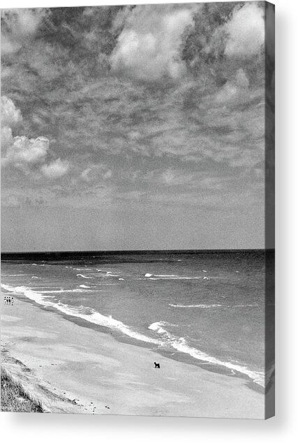 Serene Black and White Beach Scene Acrylic Print