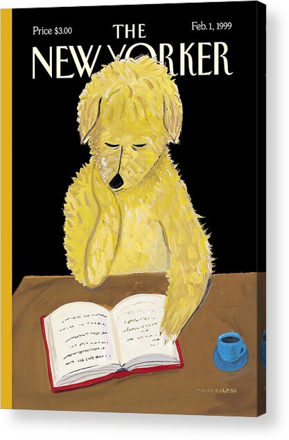 Contemplative Dog Reading a Book Acrylic Print