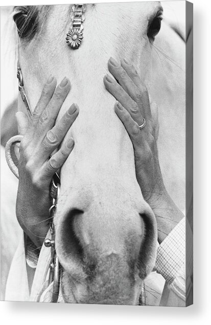 Hands Covering Horse's Face Acrylic Print