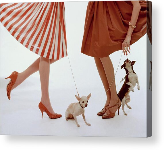 Chic Women Walking Small Dogs Acrylic Print