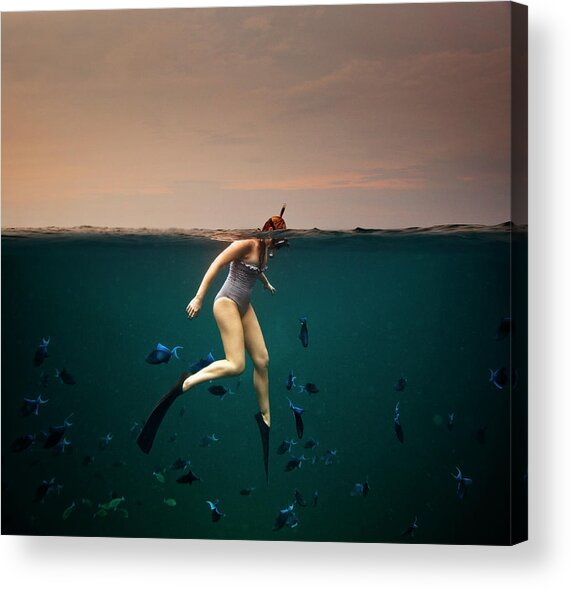 Snorkeler Among Tropical Fish Acrylic Print