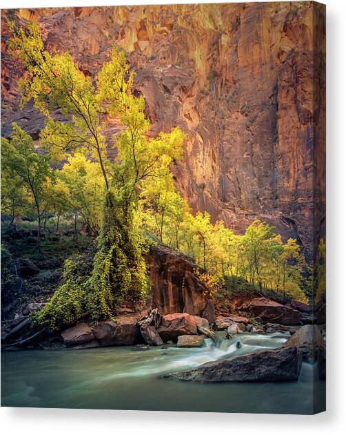 Ramped Up Canvas Art Print by Slow Fuse Photography