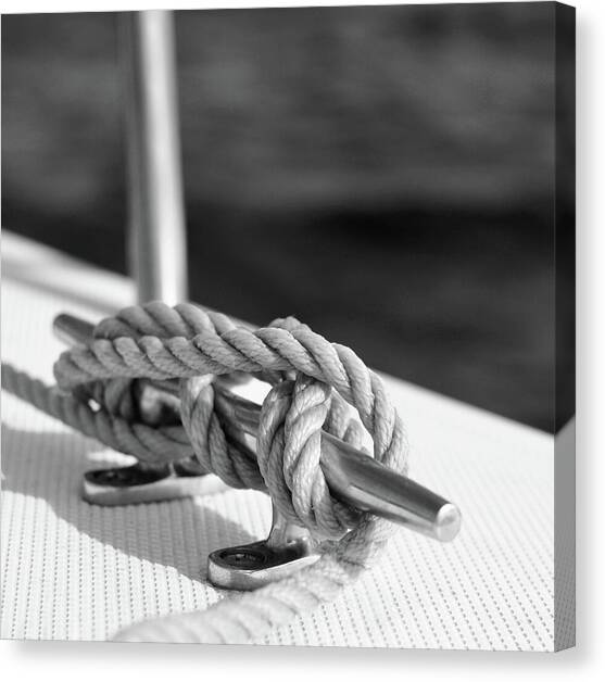 Sailor's Knot Square Canvas Art Print by Laura Fasulo