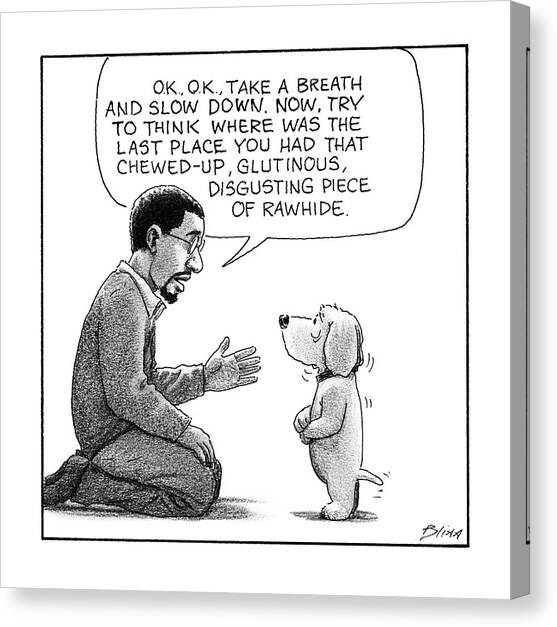 Lost Piece of Rawhide Canvas Art Print by Harry Bliss