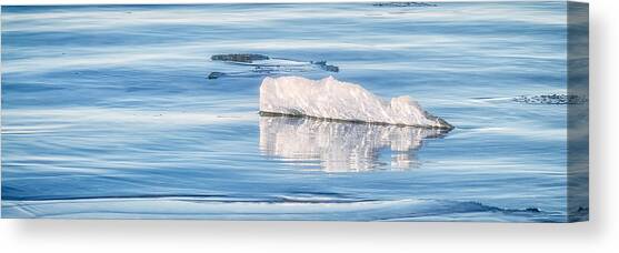 On The Icy Sea Canvas Art Print by Jeff Sinon