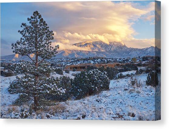 Sandia Mountains with Snow at Sunset Canvas Art Print by Mary Lee Dereske