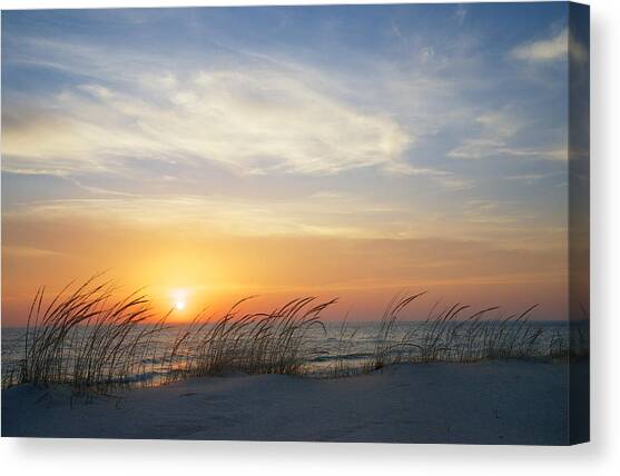 Lake Michigan Sunset with Dune Grass Canvas Art Print by Mary Lee Dereske