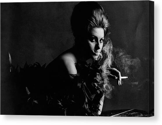 Portrait Of Sophia Loren Canvas Art Print by Bert Stern