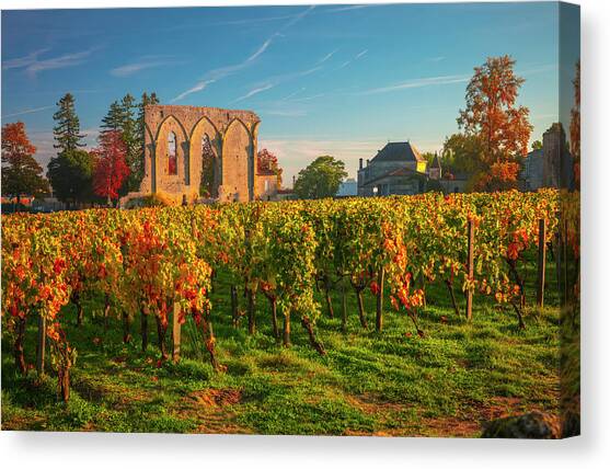 France, Nouvelle-aquitaine, Saint-emilion, Gironde, Bordeaux Region, Vineyards, Dawn Canvas Art Print by Olimpio Fantuz