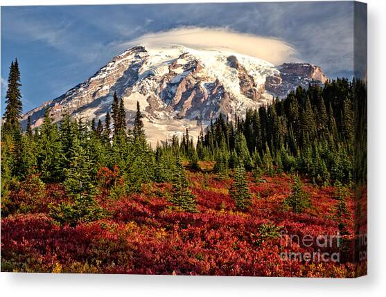 Autumn Rainbow Of Color At Paradise Canvas Art Print by Adam Jewell