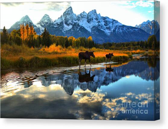 Autumn Stroll Along The Snake River Canvas Art Print by Adam Jewell