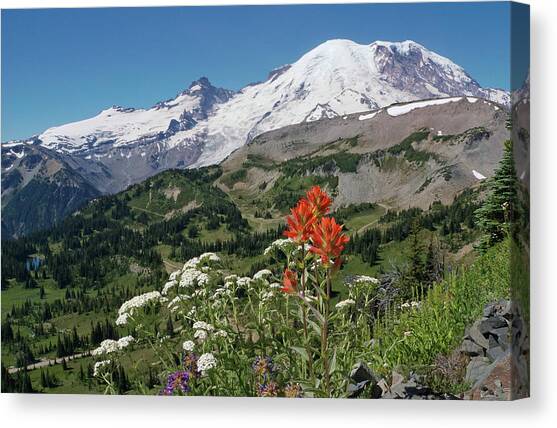 Mt. Rainier with Paintbrush Wildflower Canvas Art Print by Nancy Gleason