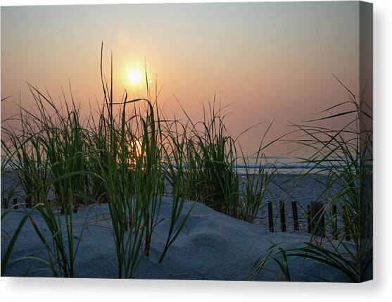 Sunrise behind the Dune Grass Canvas Art Print by Matthew DeGrushe