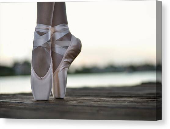 Sylph Canvas Art Print by Laura Fasulo