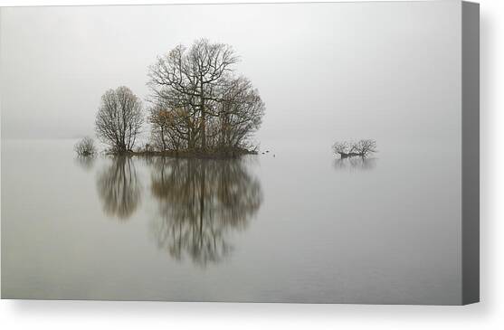 Loch Lomond #4 Canvas Art Print by Grant Glendinning