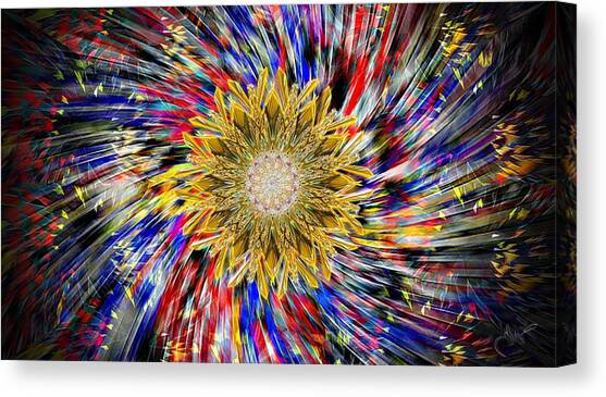 Fireworks Canvas Art Print by David Manlove