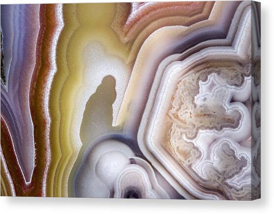 Rock Face Patterns Canvas Art Print by Jean Noren