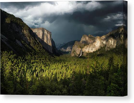 Majestic Yosemite National Park Canvas Art Print by Larry Marshall