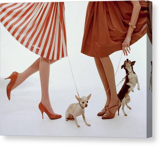 Two Models With Dogs Canvas Art Print by William Bell