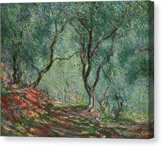 Bois Doliviers Au Jardin Moreno Canvas Art Print by Claude Monet