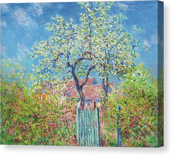 Poirier En Fleurs Canvas Art Print by Claude Monet