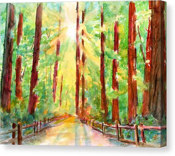 Redwoods and Sunshine Canvas Art Print by Carlin Blahnik CarlinArtWatercolor