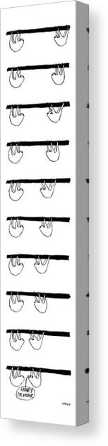 A 9-frame Cartoon A Sloth On A Branch Canvas Art Print by Edward Steed