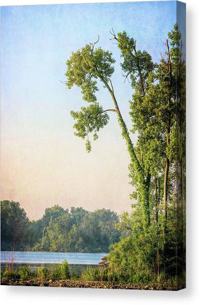 Tranquil Indian Lake at Dawn Canvas Art Print by Dan Sproul