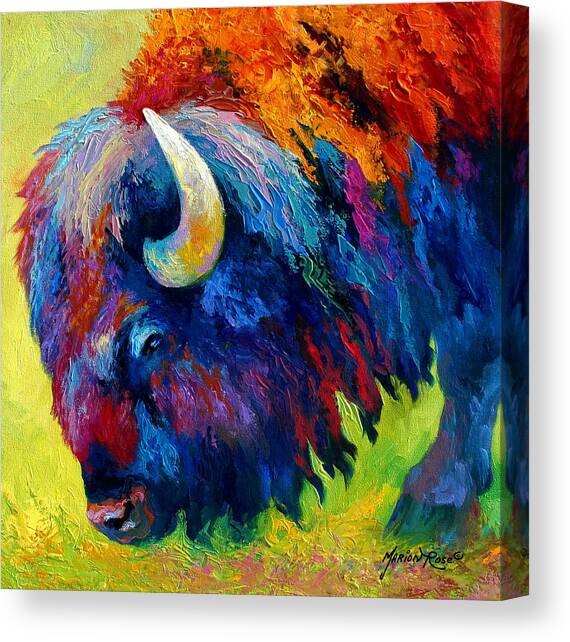 Animal Canvas Prints