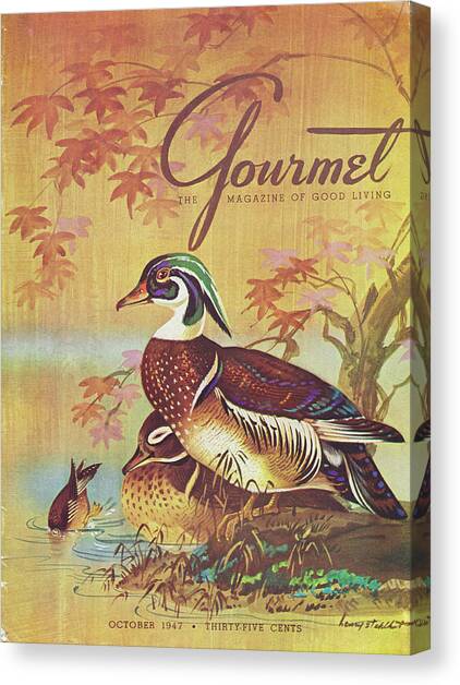 Gourmet Cover Of Wood Ducks Canvas Art Print by Henry Stahlhut