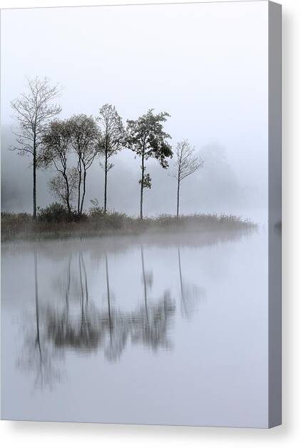 Loch Ard trees in the mist Canvas Art Print by Grant Glendinning