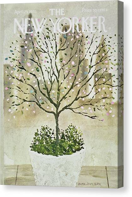 New Yorker April 25th 1970 Canvas Art Print by Laura Jean Allen